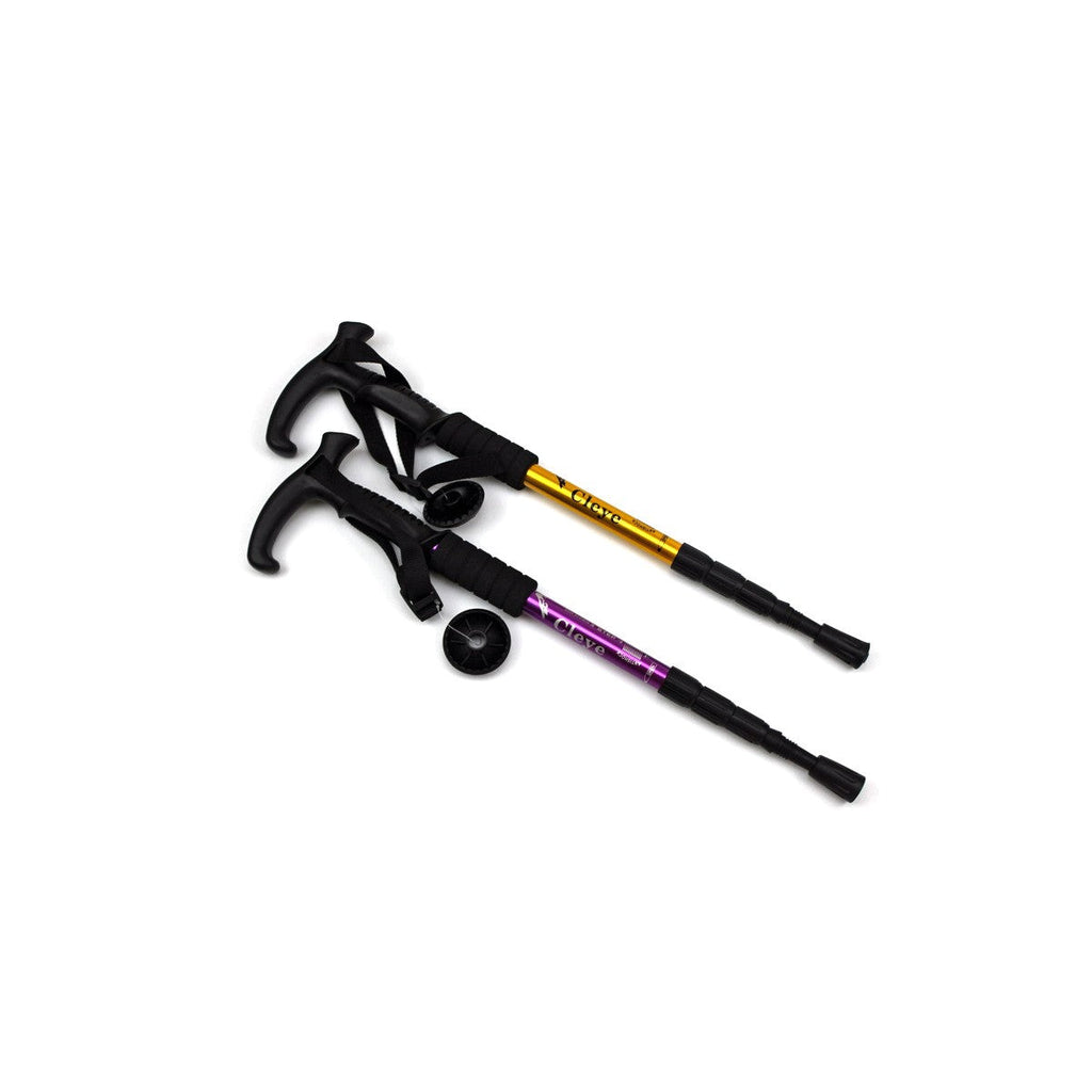 TrailBlazer Walking Poles